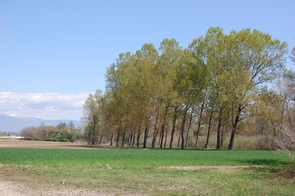 Locanda La Candola Soligo Екстер'єр фото
