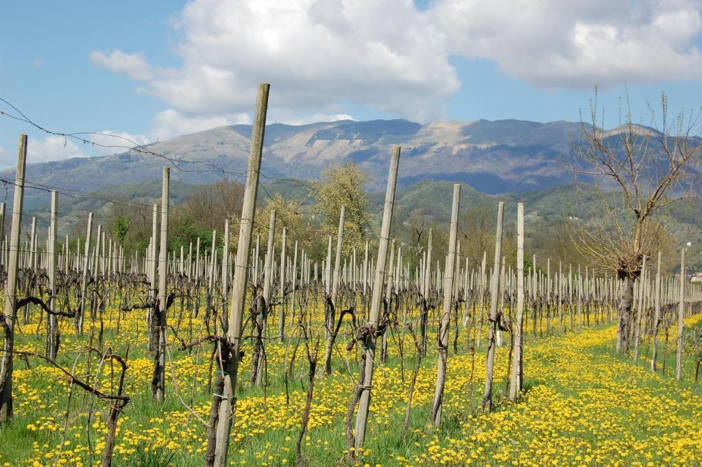 Locanda La Candola Soligo Екстер'єр фото